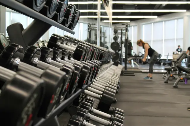 Rows of dumbbells on a rack in a gym